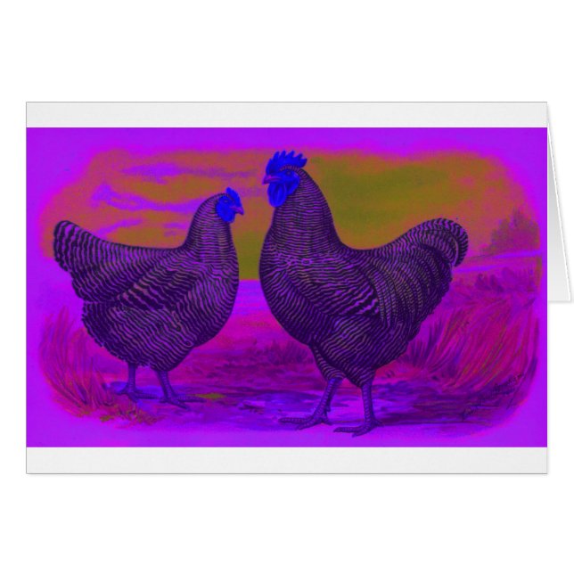 BlackLight (Anverso (Horizontal))