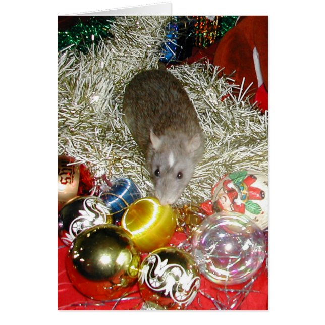 Blaize y los Baubles (Frente)