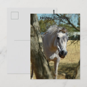 Blanca Nieves El Caballo, Tarjeta Postal de Cumple