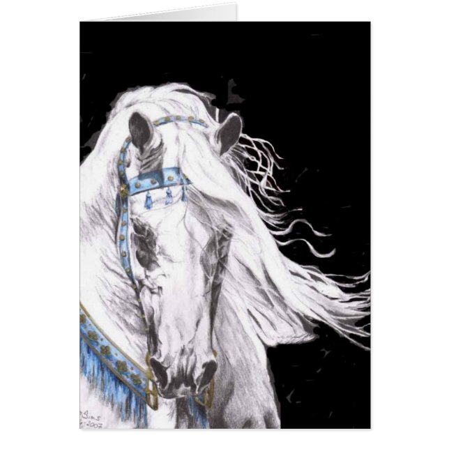 "Blanco árabe " (Frente)