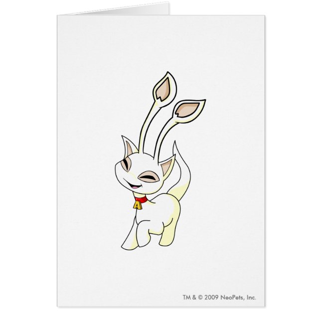 Blanco de Aisha (Frente)