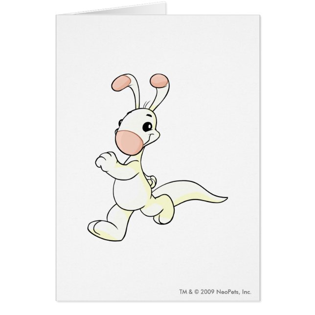 Blanco de Blumaroo (Frente)