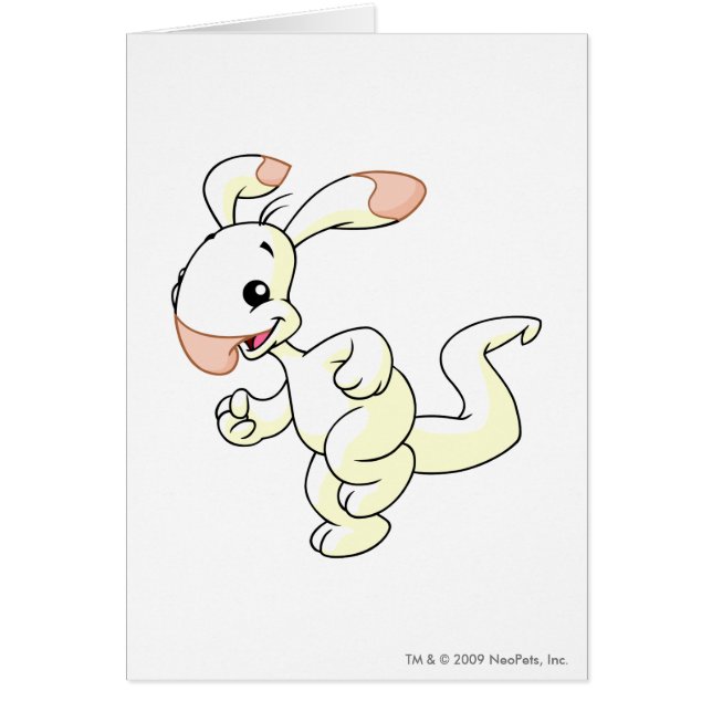 Blanco de Blumaroo (Frente)