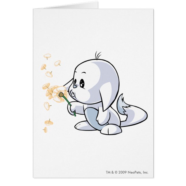 Blanco de Kacheek (Frente)