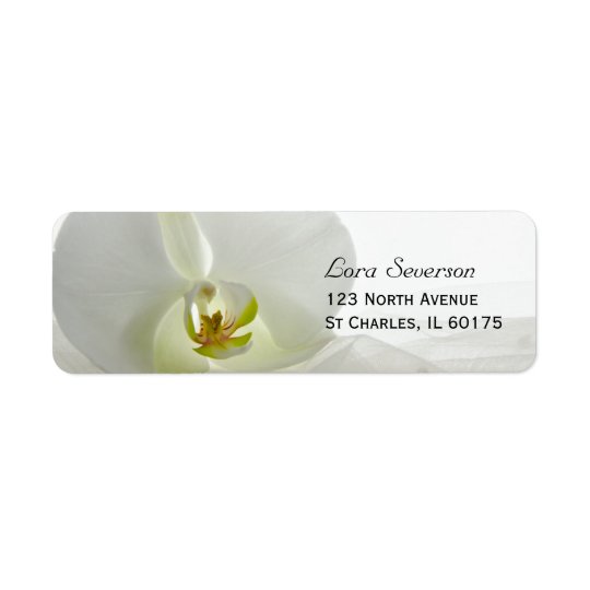 Blanco de la orquídea y boda del velo etiquetas de remite