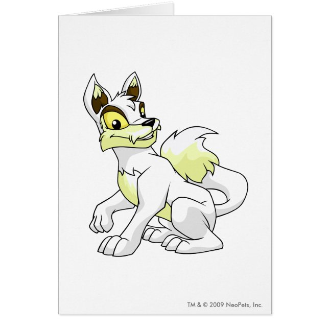 Blanco de Lupe (Frente)