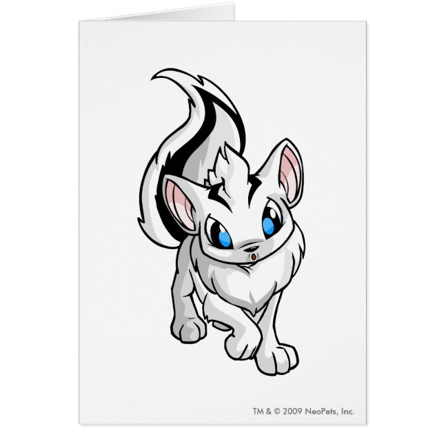 Blanco de Xweetok (Frente)