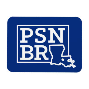 Blanco del BR del PSN en el imán azul del estado