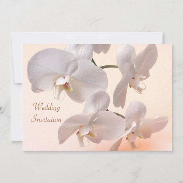 Blanco - orquídeas crema Invitación a la boda (Anverso)
