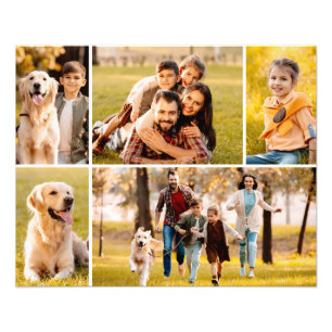 Blanco sencillo de 5 Collages de fotos