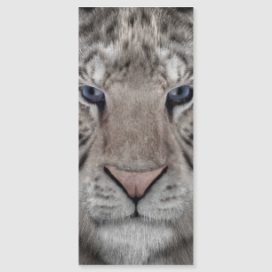 blanco_tiger_head