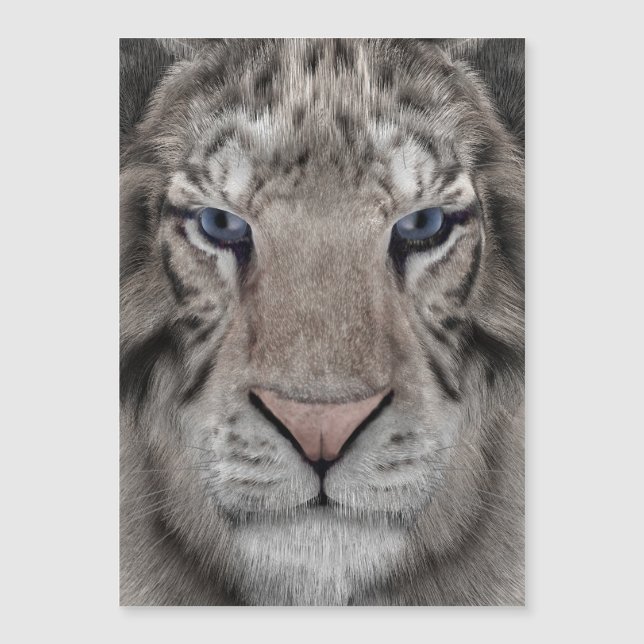 blanco_tiger_head (Anverso)