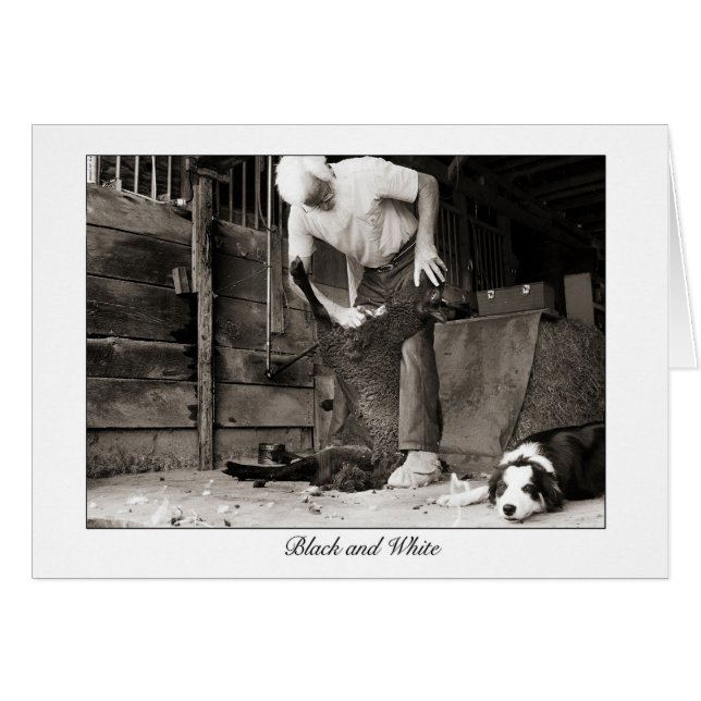 blanco y negro (Anverso (Horizontal))