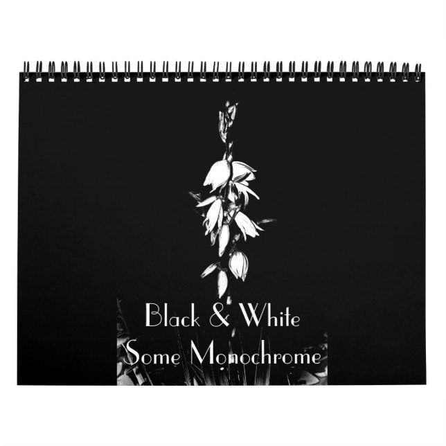 Blanco y negro Algunos calendarios monocromos (Tapa)