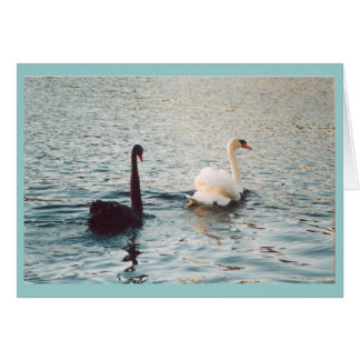 Blanco y negro en el Rideau