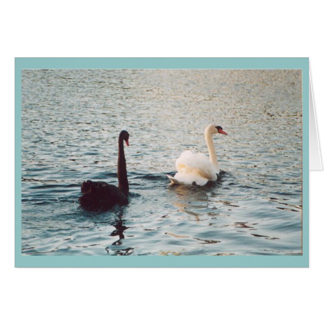 Blanco y negro en el Rideau (Anverso (Horizontal))