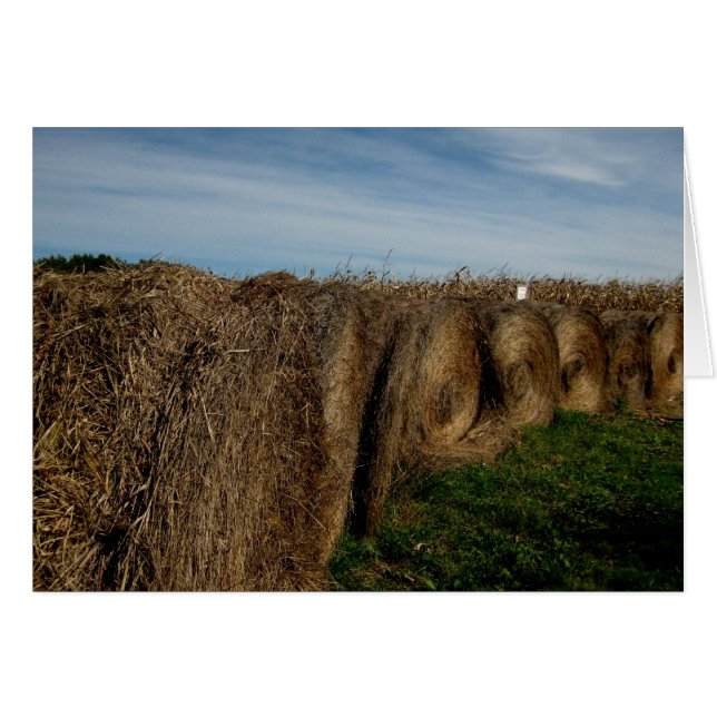 Blank_Hay Bales (Anverso (Horizontal))