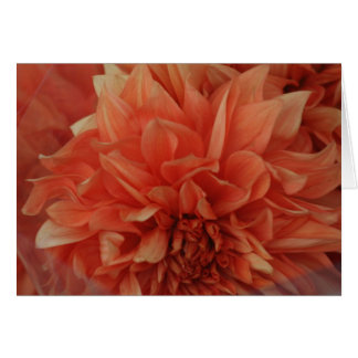 *Blank rojo de la tarjeta de la flor