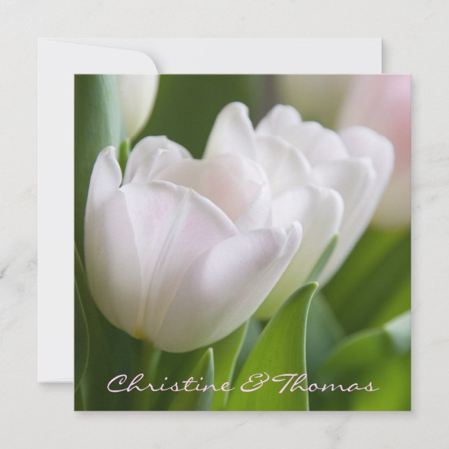 Blanquea tulipanes • Save the Date tarjeta postal (Anverso)