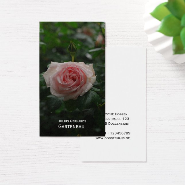 Blau und frei (Escritorio)