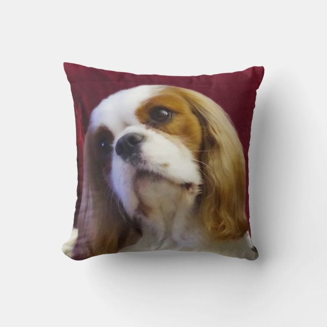 Blenheim arrogante del Cojín decorativo de rey (Anverso)