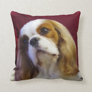 Blenheim arrogante del Cojín decorativo de rey