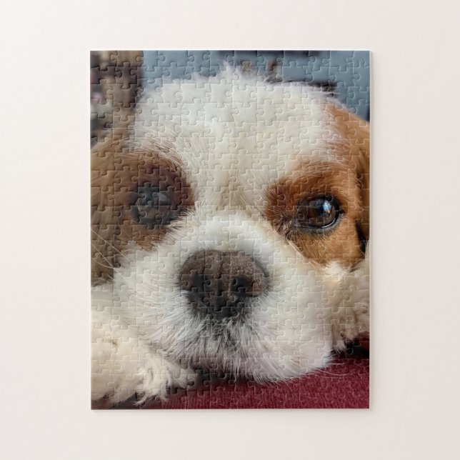 Blenheim Cavalier King Charles Spaniel Puzzle (Vertical)