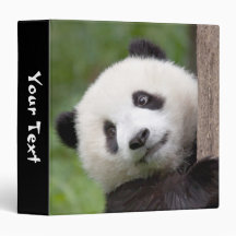 Blindante de pintura panda
