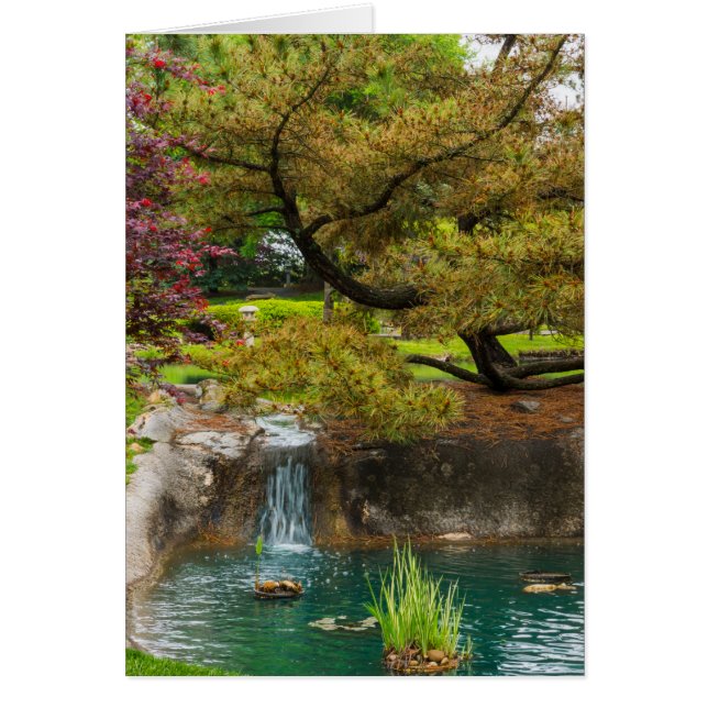 Bliss botánico (Frente)