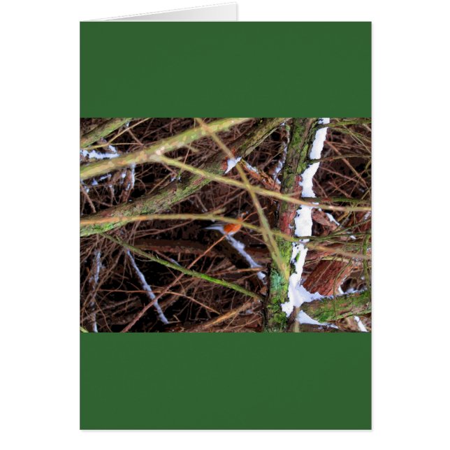 Blizzard Bird CB (Frente)