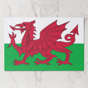 Bloc De Hojas Almohadilla de papel lacrimógeno con bandera de Ga