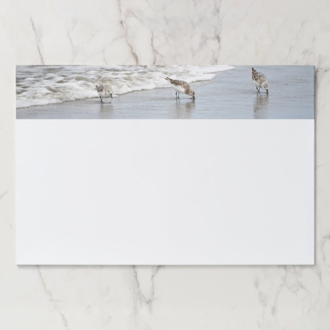 Bloc De Hojas Aves de playa en la gran almohadilla para dejar la (Anverso)