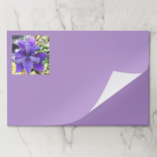 Bloc De Hojas Brandeis