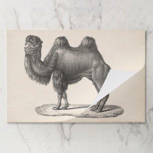 Bloc De Hojas Brodtmann Camel Sketch