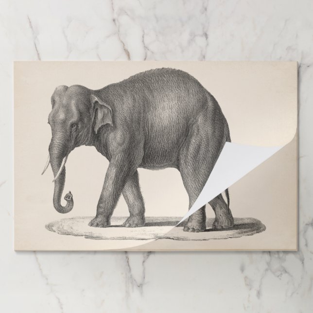 Bloc De Hojas Brodtmann Elephant Sketch (Plegada)
