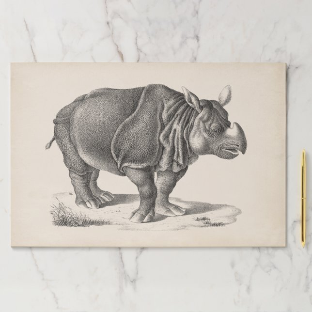 Bloc De Hojas Brodtmann Rhinoceros Sketch (In situ)