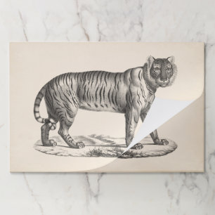 Bloc De Hojas Brodtmann Tiger Sketch