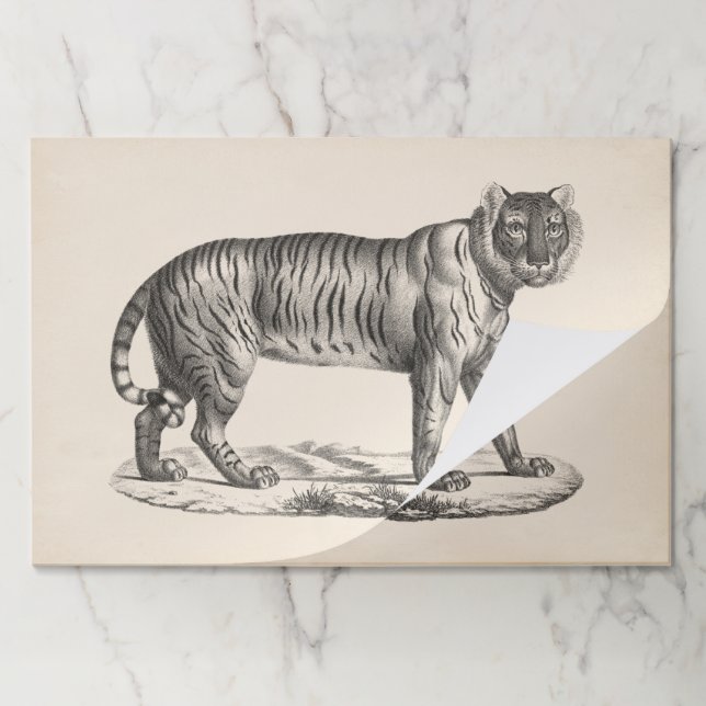Bloc De Hojas Brodtmann Tiger Sketch (Plegada)