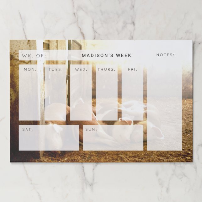 Bloc De Hojas Cerdos Snuggling de las imágenes el | de Getty (Anverso)