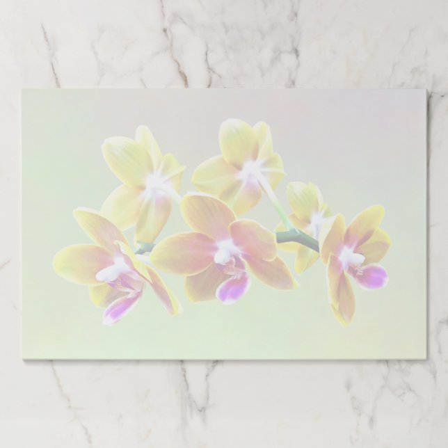 Bloc De Hojas Cupid del orgullo de Taida de la orquídea del (Anverso)