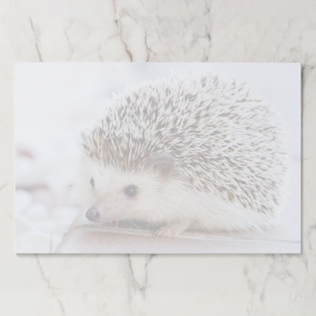 Bloc De Hojas Cute Hedgehog (Anverso)