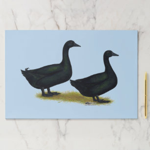 Bloc De Hojas Ducks: Black Cayugas