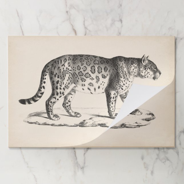 Bloc De Hojas Esbozo Leopardo de Brodtmann (Plegada)