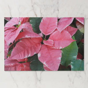 Bloc De Hojas Estrella plateada de mármol Poinsettias Flor de va