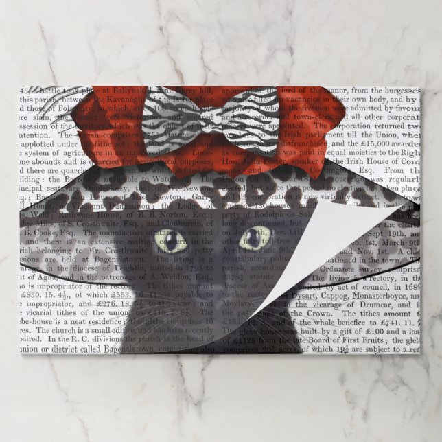 Bloc De Hojas Gato negro con fabuloso Gorra (Plegada)
