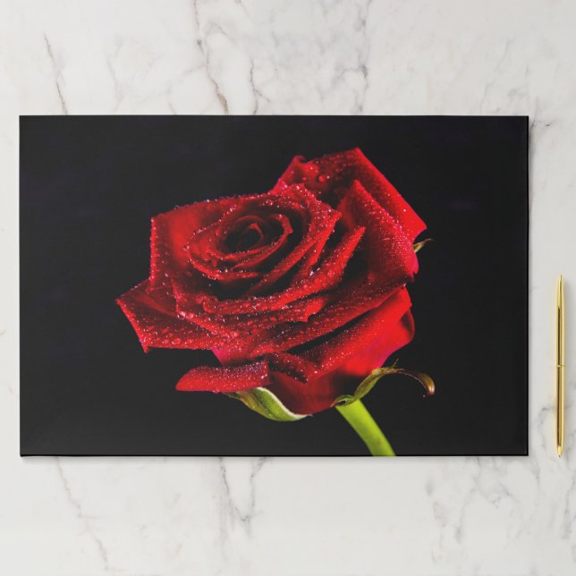 Bloc De Hojas Hermosa rosa roja (In situ)