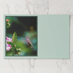 Bloc De Hojas Hummingbird - Fotografía original