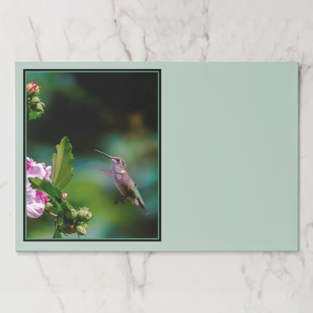 Bloc De Hojas Hummingbird - Fotografía original (Anverso)