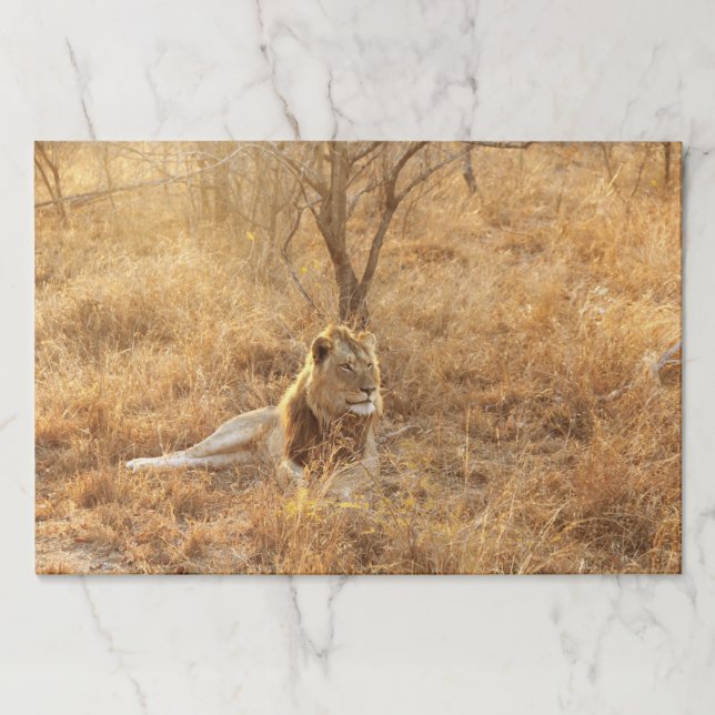 Bloc De Hojas León (Anverso)