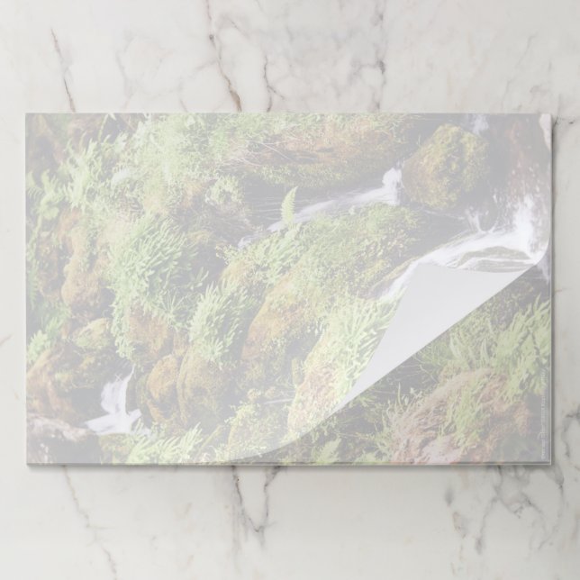 Bloc De Hojas Más y menos (Plegada)